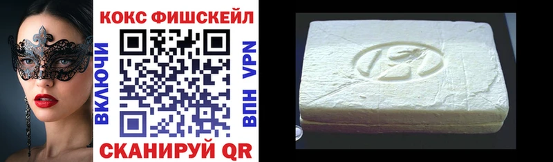 Cocaine FishScale  закладки  Пудож 