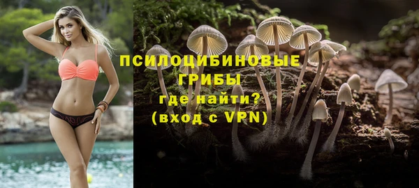 СК Елабуга