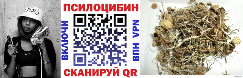 Галлюциногенные грибы MAGIC MUSHROOMS  купить наркотик  Пудож 